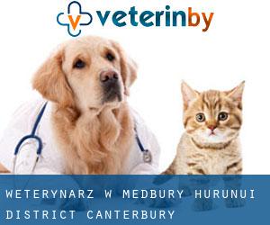 weterynarz w Medbury (Hurunui District, Canterbury)