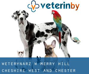 weterynarz w Merry Hill (Cheshire West and Chester, England)