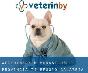 weterynarz w Monasterace (Provincia di Reggio Calabria, Kalabria)