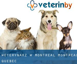 weterynarz w Montreal (Montréal, Quebec) weterynarz w Montreal (Montréal, Quebec)