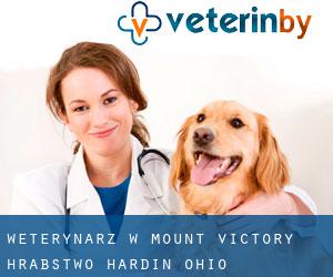 weterynarz w Mount Victory (Hrabstwo Hardin, Ohio)