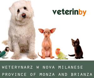 weterynarz w Nova Milanese (Province of Monza and Brianza, Lombardy)