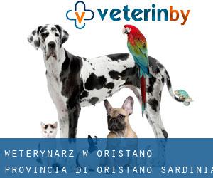 weterynarz w Oristano (Provincia di Oristano, Sardinia)