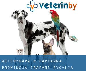 weterynarz w Partanna (Prowincja Trapani, Sycylia)