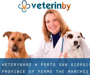 weterynarz w Porto San Giorgio (Province of Fermo, The Marches)