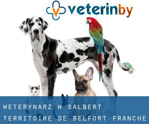 weterynarz w Salbert (Territoire-de-Belfort, Franche-Comté)