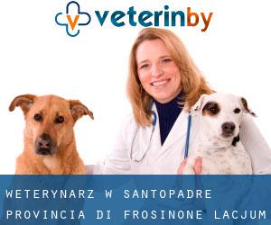 weterynarz w Santopadre (Provincia di Frosinone, Lacjum)