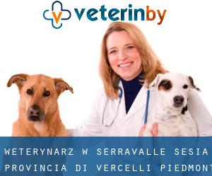 weterynarz w Serravalle Sesia (Provincia di Vercelli, Piedmont)