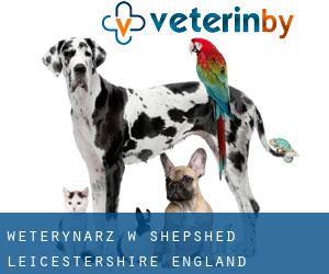 weterynarz w Shepshed (Leicestershire, England)