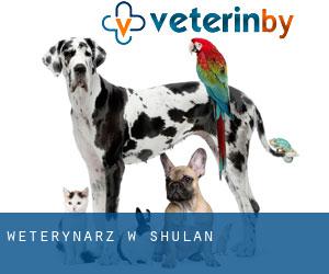 weterynarz w Shulan weterynarz w Shulan