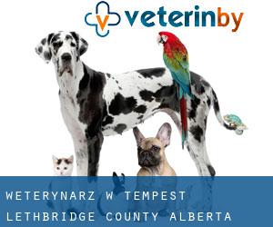 weterynarz w Tempest (Lethbridge County, Alberta)