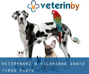 weterynarz w Vilarinho (Santo Tirso, Porto)