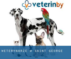 weterynarze w Saint George weterynarze w Saint George